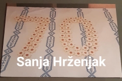 Sanja-Hrženjak